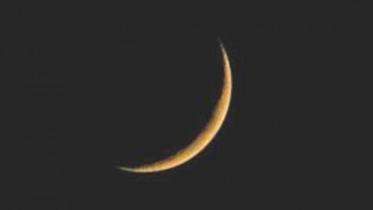 Moonj-web.jpg