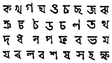 language4.jpg