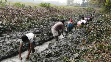 Farmers-bring-canal-back.jpg