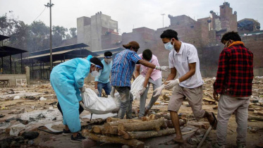 India-web.jpg