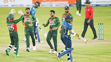 bd-cricket.jpg
