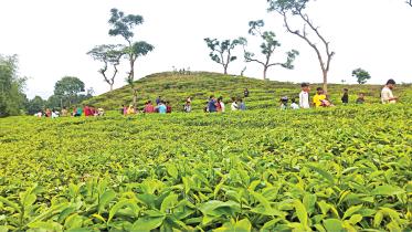Sylhet.jpg