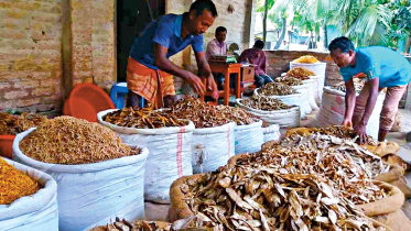 dry-fish.jpg