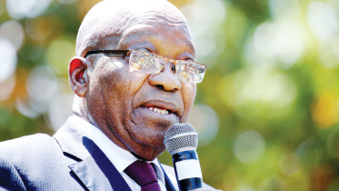 Zuma.jpg