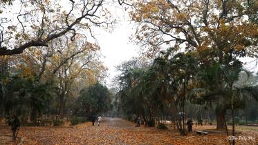 _202002251Amran-Hossain-(18).jpg