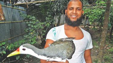 Abdul Jabbar