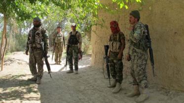 Afghan.jpg