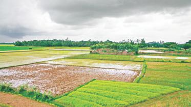 Agriculture.jpg