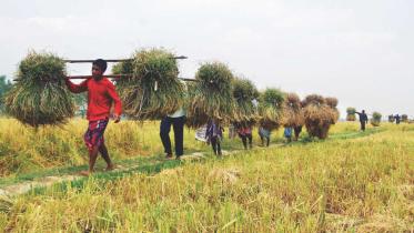 Agriculture