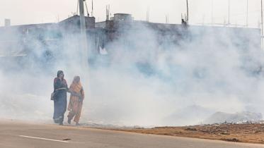 World Air Quality Report, Greenpeace, AirVisual, air pollution