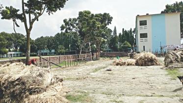 Alauddin Ahmed Degree College.jpg