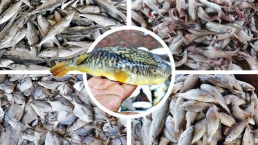 anglers 1.jpg