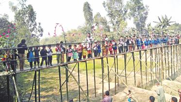 bamboo bridge.jpg