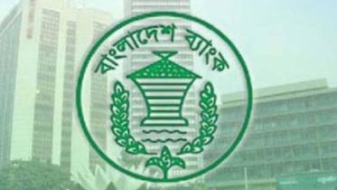 Taka fell 13.3% vs dollar in 2022: Bangladesh Bank