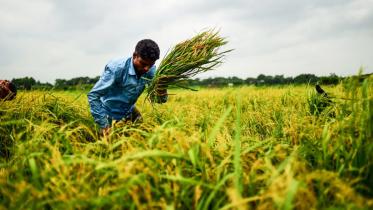Bangladesh ranked 41st largest economy in 2019