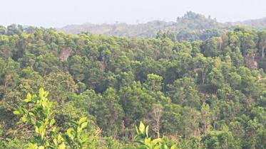 Areas around Cox's Bazar already under threat