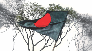 bd flag.jpg