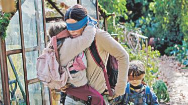bird box