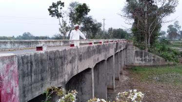 birdhge.jpg
