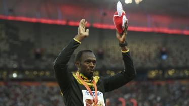 bolt-seeking.jpg-NS.jpg