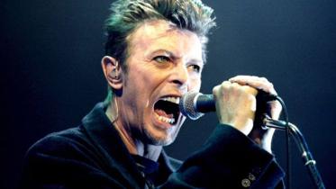 bowie new.jpg