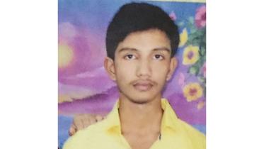 boy-dead-cricket-web.jpg