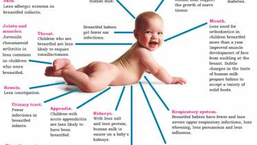 breastfeeding