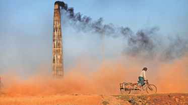 environment