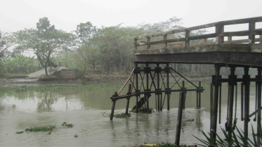 Bridge.jpg