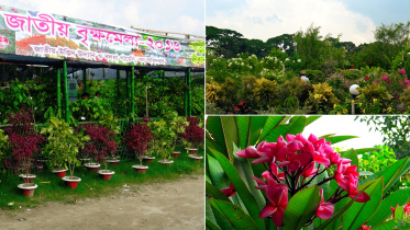 plants, Brikkho Mela, Bangladesh, Dhaka, Jatiya Brikkho Mela, Agargaon, national plant fair, nursery
