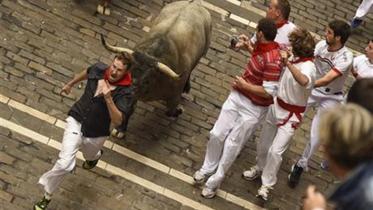bull-spain-2-WEB.jpg