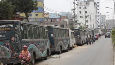 bus.jpg