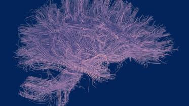 caffeine-and-memory