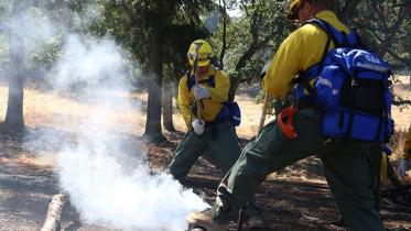 Southern California,wildfire,Los Angeles,Las Vegas,80,000 residents,flee,Blue Cut Fire,mountainous Cajon Pass