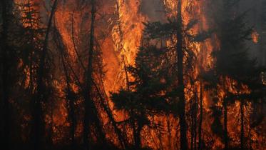 Canada-Fire-WEB.jpg