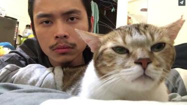 cat bobs head.JPG