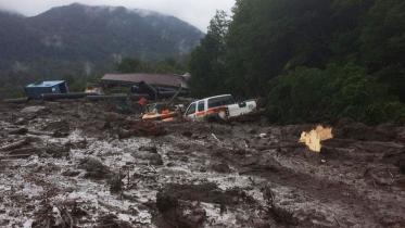 Damage done by a landslide