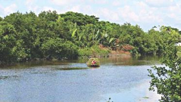 Chitra river.jpg
