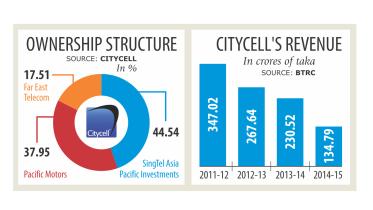 Citycell , government , subscribers , telecom regulator. 