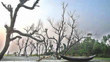 climate-change