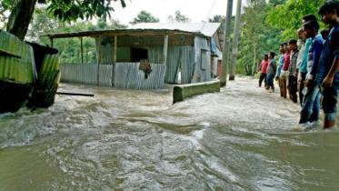 climate -web.jpg