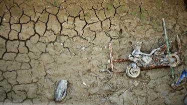 climate change.jpg