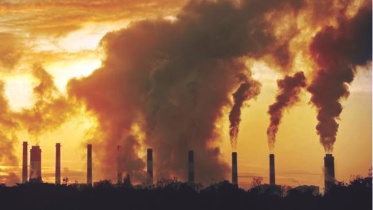 climate change.jpg