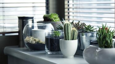 container-gardening-2.jpg