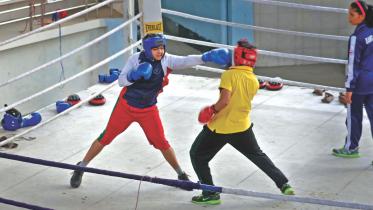 contender.jpg