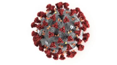 Bangladeshi infected with coronavirus