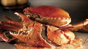 crab.jpg