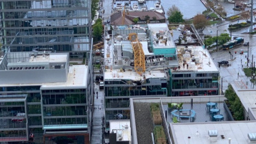 Crane.jpg