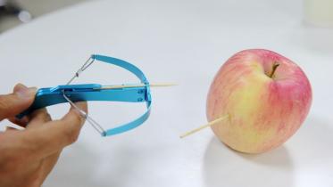 Crossbows-web.jpg