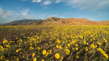 Death-Valley-1WB.jpg